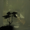 fotobew.'darkmirror'