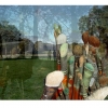 compositie 'nature'
