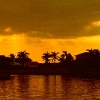 floridanightsight.jpg
