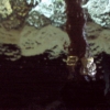 glasinlood-1