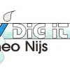 dig-it-all-art.jpg