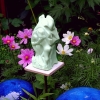 Bescherming (bij blauwepot)