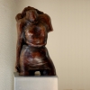 torso