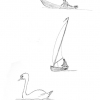 Giethoorn studies